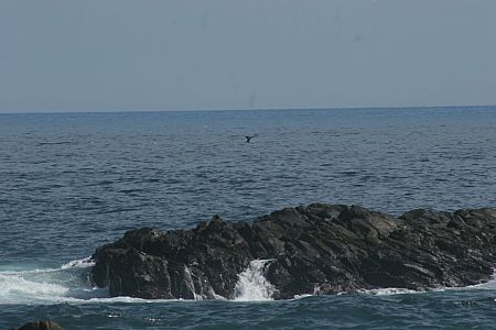 imwa2010_251.jpg