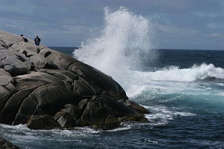 imwa2010_337.jpg
