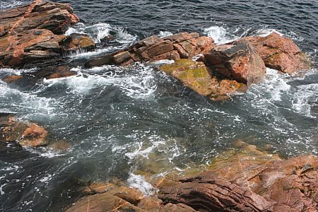 imwa2010_765.jpg